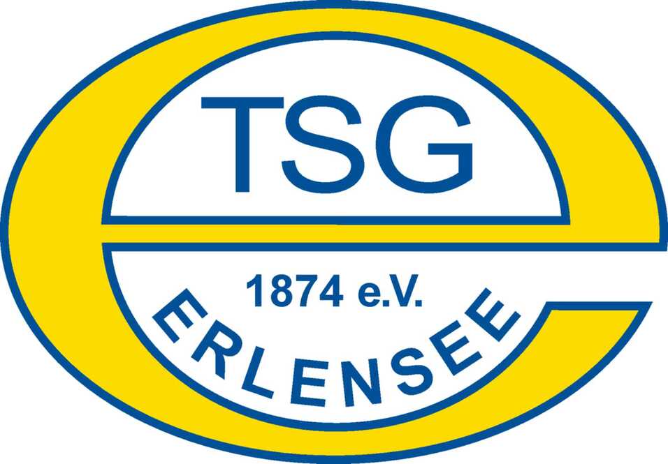 Logo TSGE